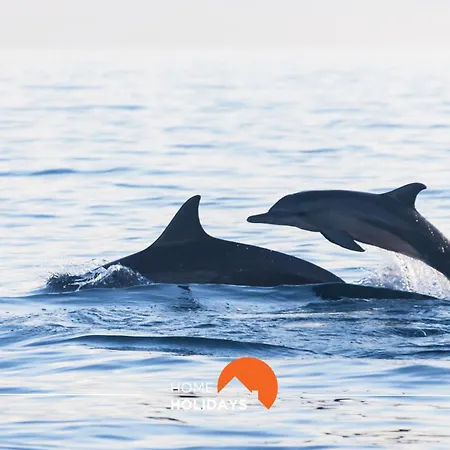 Апартаменты #011 T1 Libertos By Holidays Албуфейра